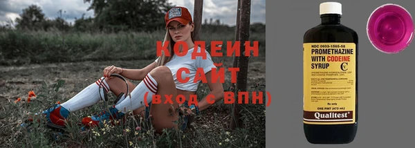 хмурый Белокуриха