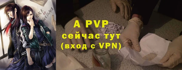 apvp Сосновый Бор