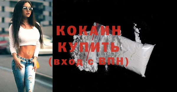 хмурый Белокуриха