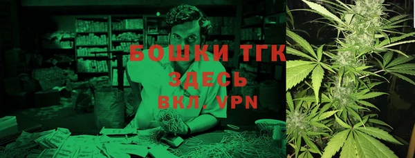 хмурый Белокуриха