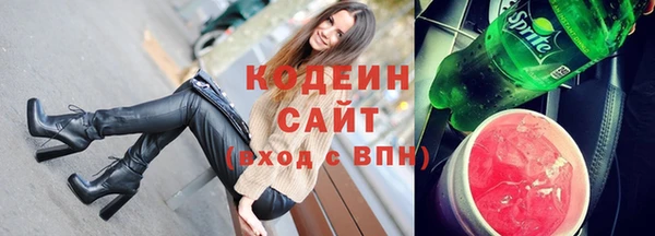 хмурый Белокуриха
