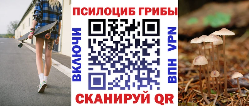 Псилоцибиновые грибы MAGIC MUSHROOMS  Наволоки 